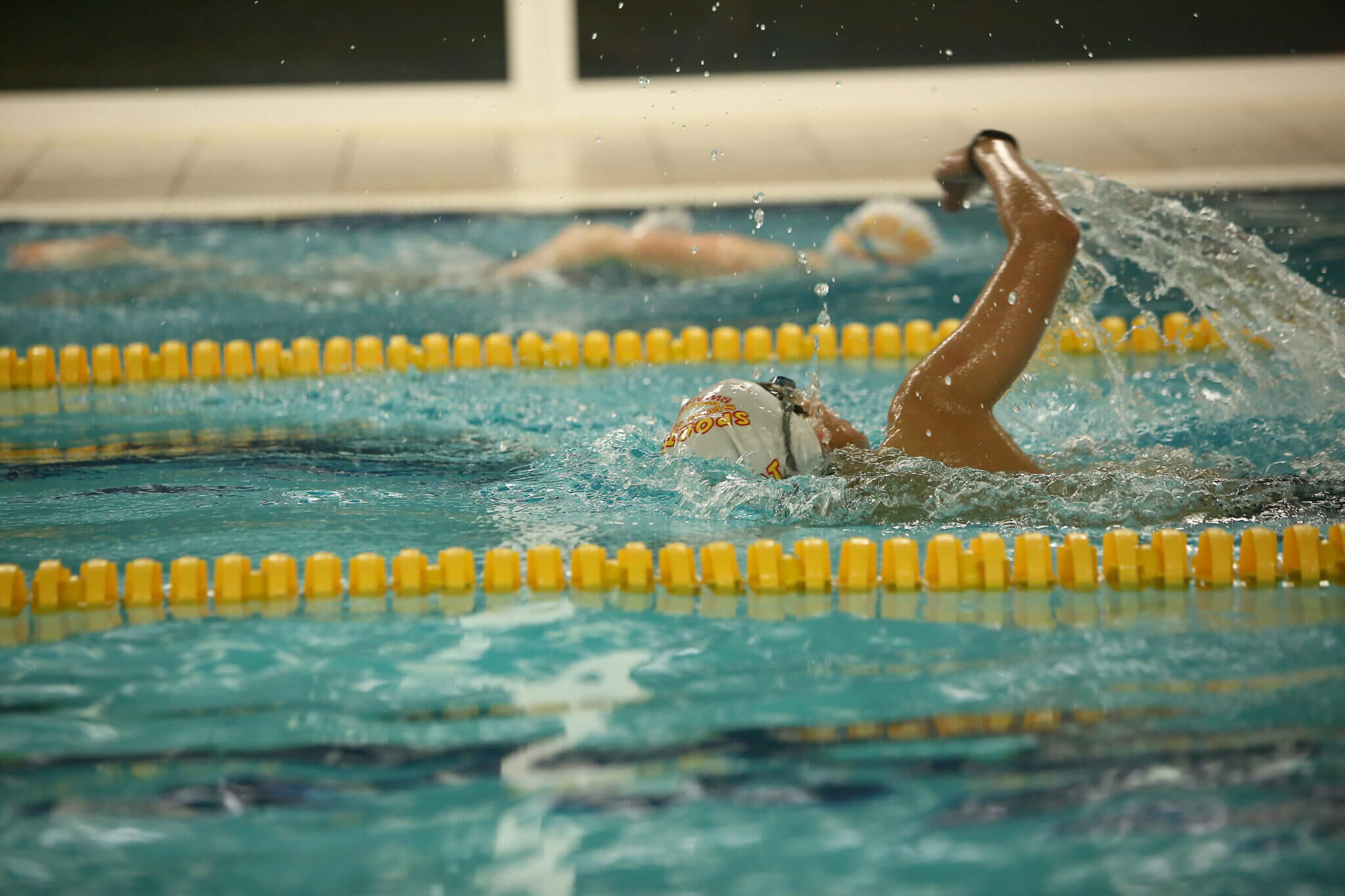 People swimming