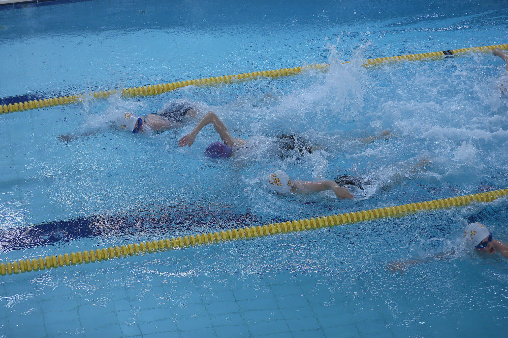 Swimming race